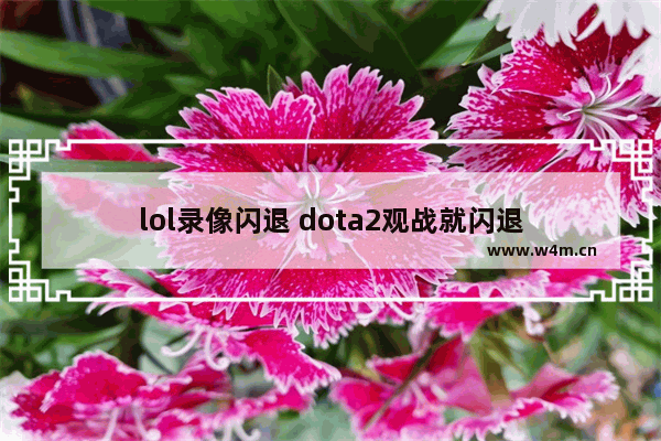 lol录像闪退 dota2观战就闪退