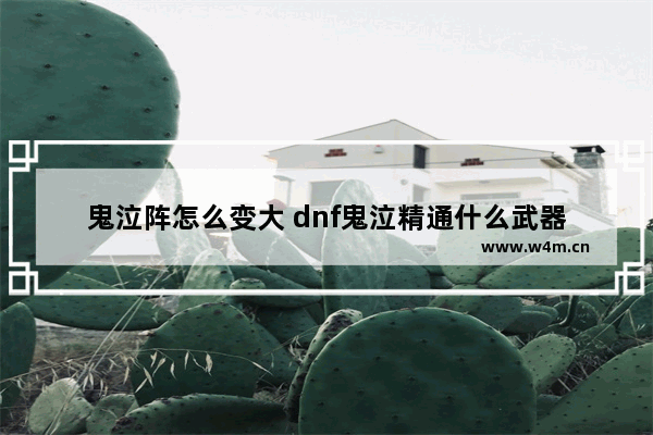 鬼泣阵怎么变大 dnf鬼泣精通什么武器