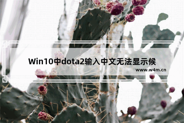 Win10中dota2输入中文无法显示候选项怎么办 dota2输入法 win10