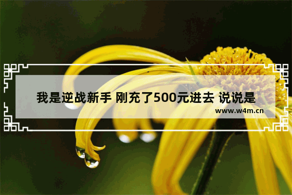 我是逆战新手 刚充了500元进去 说说是买什么武器好 逆战纯新手