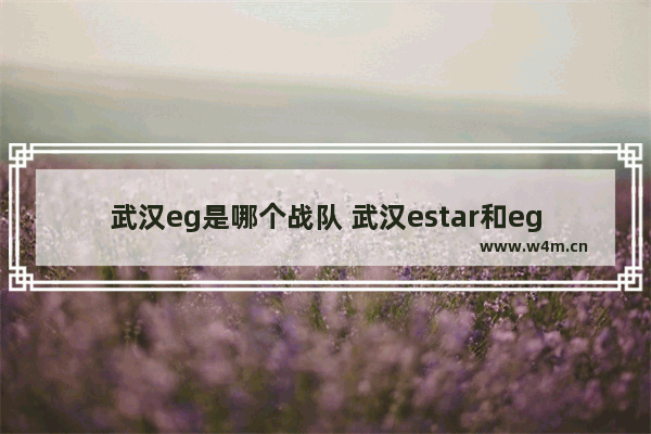 武汉eg是哪个战队 武汉estar和eg是一样的吗