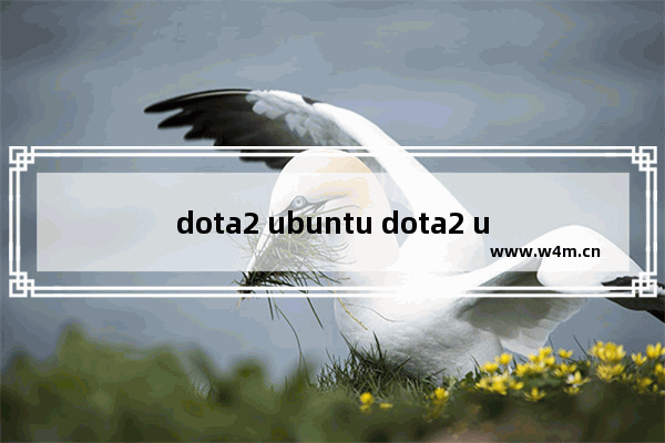 dota2 ubuntu dota2 ubuntu