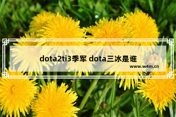 dota2ti3季军 dota三冰是谁