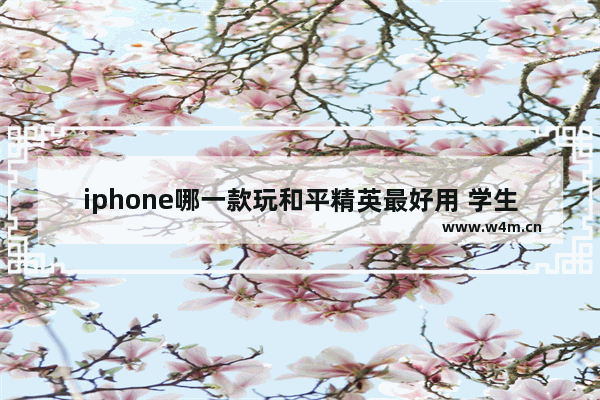 iphone哪一款玩和平精英最好用 学生党也买得起 女学生玩和平精英