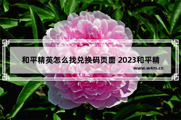 和平精英怎么找兑换码页面 2023和平精英怎么获取口令兑换码