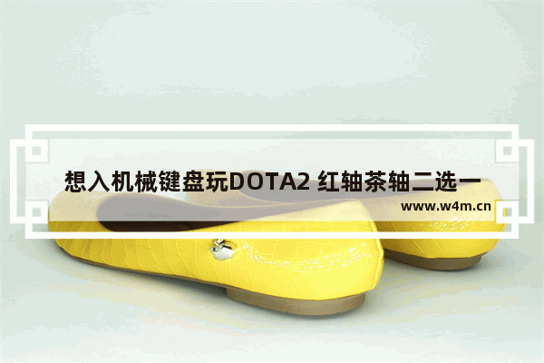 想入机械键盘玩DOTA2 红轴茶轴二选一 求推荐该用哪种 dota2机械键盘