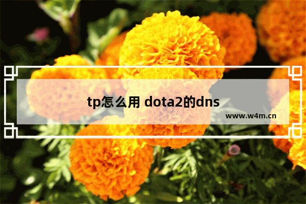 tp怎么用 dota2的dns