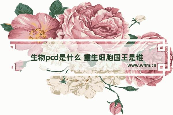 生物pcd是什么 重生细胞国王是谁