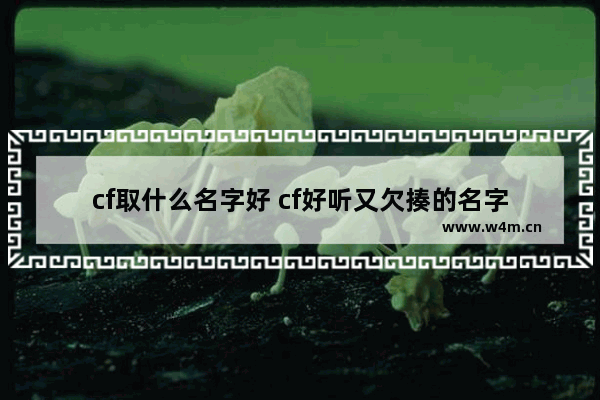 cf取什么名字好 cf好听又欠揍的名字