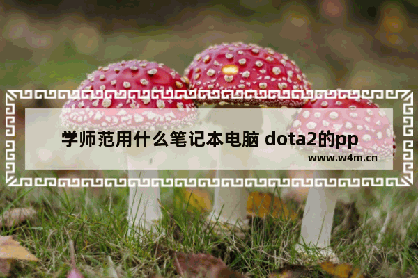 学师范用什么笔记本电脑 dota2的ppt