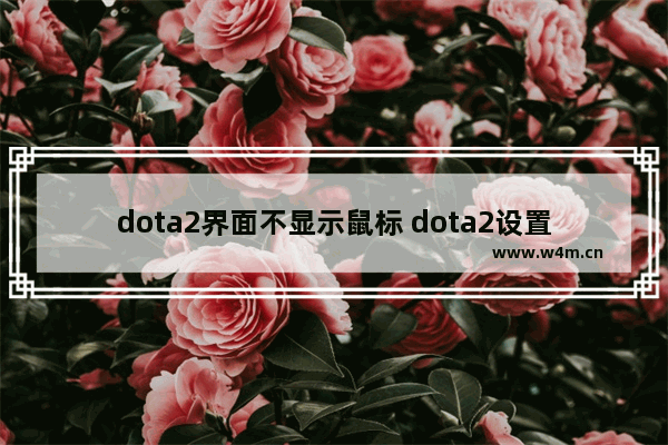 dota2界面不显示鼠标 dota2设置鼠标