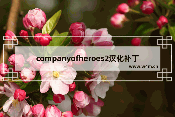 companyofheroes2汉化补丁怎么用 dota2 heroes教学