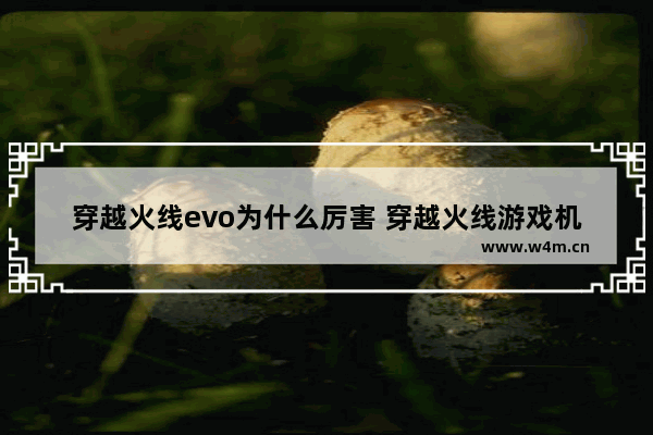 穿越火线evo为什么厉害 穿越火线游戏机