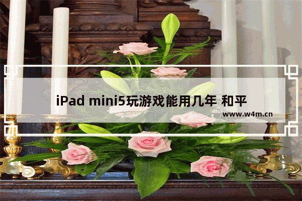 iPad mini5玩游戏能用几年 和平精英用几年了