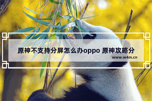 原神不支持分屏怎么办oppo 原神攻略分屏位置