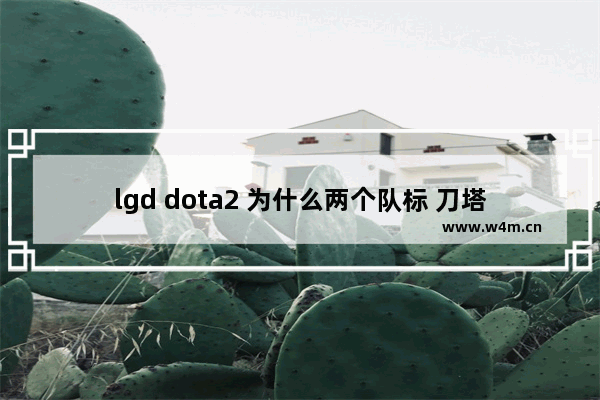 lgd dota2 为什么两个队标 刀塔gg是哪个国家的战队