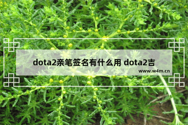 dota2亲笔签名有什么用 dota2吉祥饰品是甚么意思