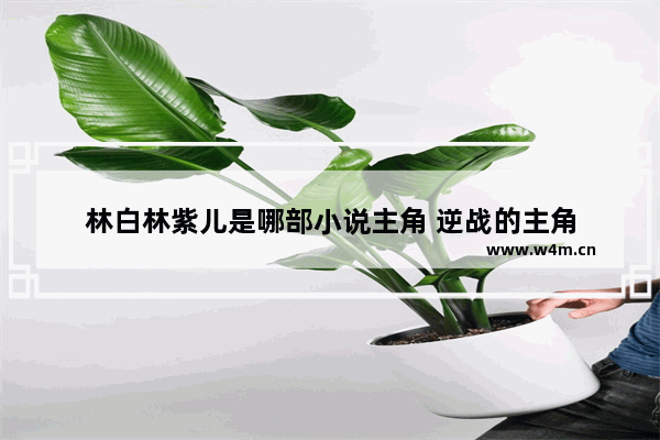 林白林紫儿是哪部小说主角 逆战的主角