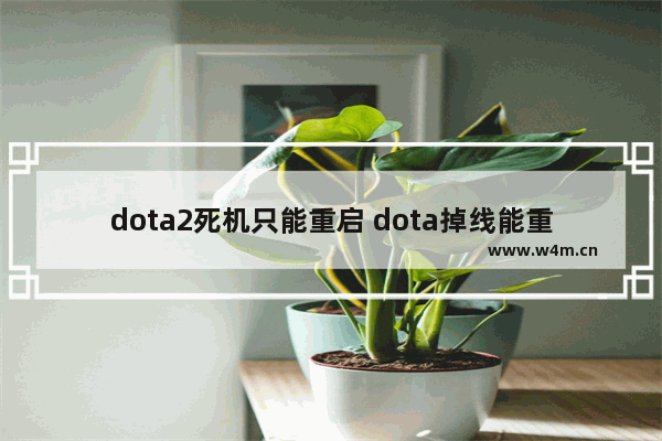 dota2死机只能重启 dota掉线能重新连接吗