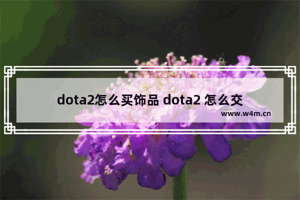 dota2怎么买饰品 dota2 怎么交易饰品