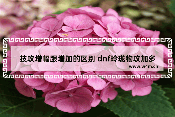 技攻增幅跟增加的区别 dnf玲珑物攻加多少