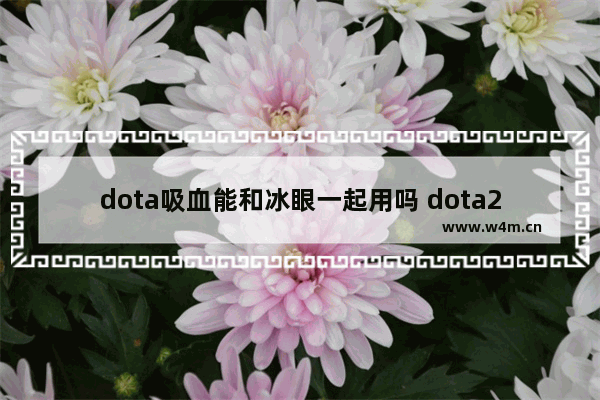 dota吸血能和冰眼一起用吗 dota2 冰眼 吸血