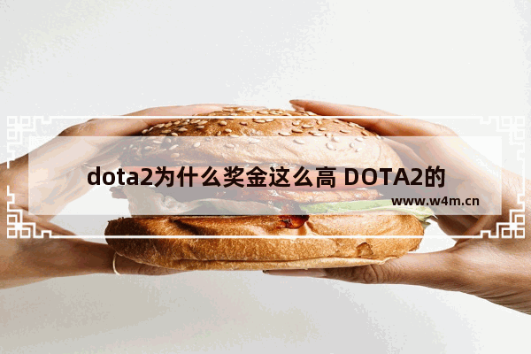 dota2为什么奖金这么高 DOTA2的奖金为啥那么多啊