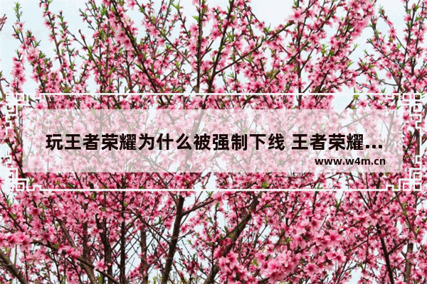 玩王者荣耀为什么被强制下线 王者荣耀每天限制多长 王者荣耀 限玩