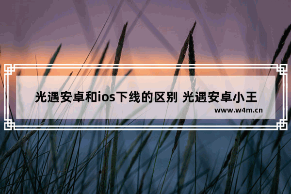 光遇安卓和ios下线的区别 光遇安卓小王子季更新时间