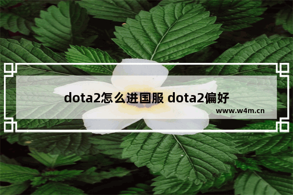 dota2怎么进国服 dota2偏好