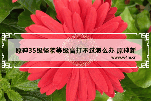 原神35级怪物等级高打不过怎么办 原神新手攻略 打怪