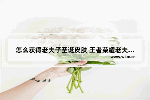 怎么获得老夫子圣诞皮肤 王者荣耀老夫子新皮肤