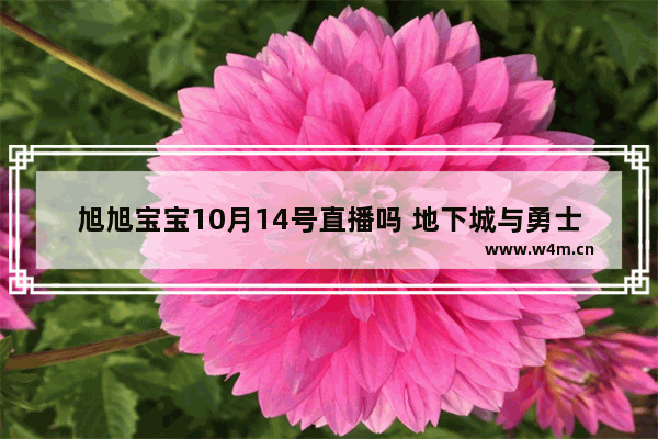 旭旭宝宝10月14号直播吗 地下城与勇士直播怎么开