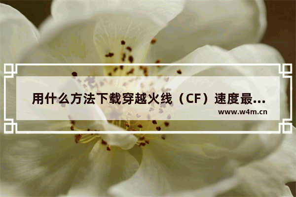 用什么方法下载穿越火线（CF）速度最快啊 穿越火线 迅雷