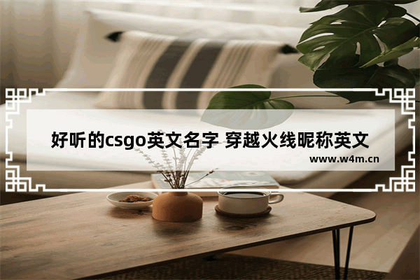 好听的csgo英文名字 穿越火线昵称英文