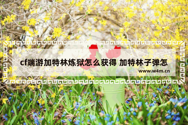 cf端游加特林炼狱怎么获得 加特林子弹怎么叠加