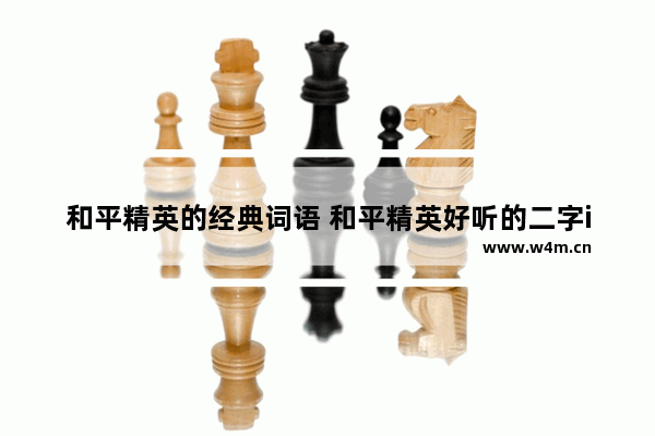 和平精英的经典词语 和平精英好听的二字id