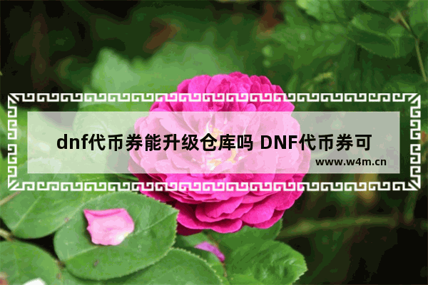 dnf代币券能升级仓库吗 DNF代币券可以和点券一起买新年套么