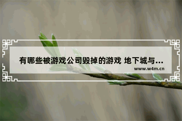 有哪些被游戏公司毁掉的游戏 地下城与勇士神奇怪事