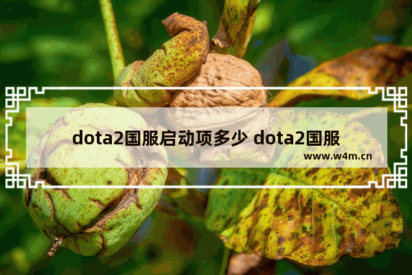 dota2国服启动项多少 dota2国服启动代码是什么