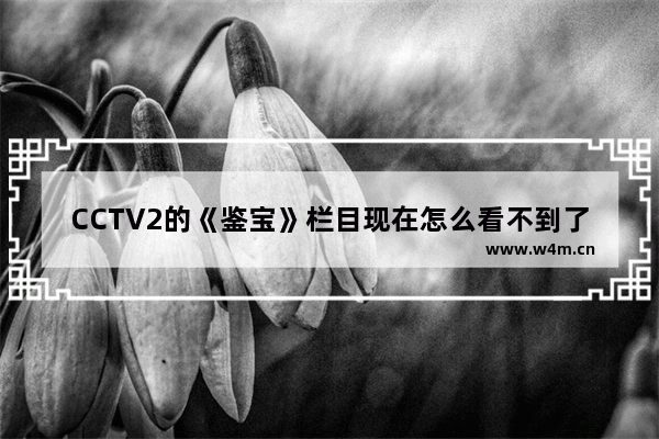 CCTV2的《鉴宝》栏目现在怎么看不到了 dota2 cctv