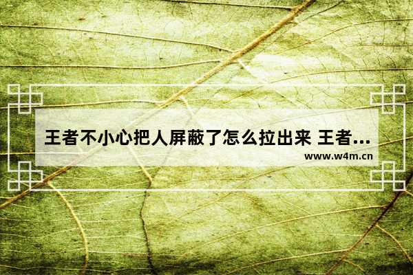 王者不小心把人屏蔽了怎么拉出来 王者玩太久被健康系统禁了怎么办