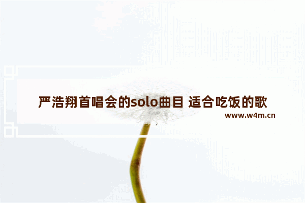 严浩翔首唱会的solo曲目 适合吃饭的歌曲推荐