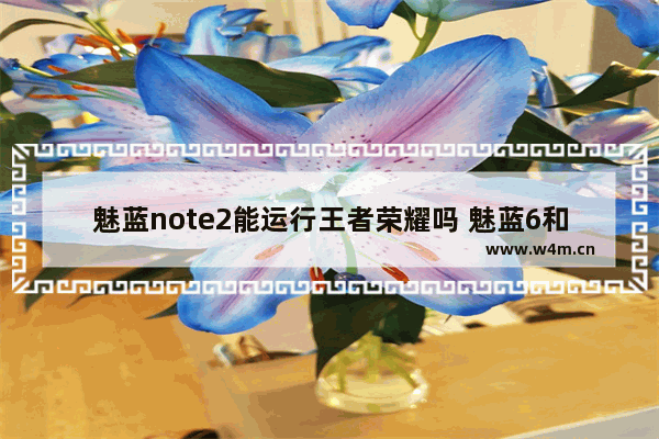 魅蓝note2能运行王者荣耀吗 魅蓝6和魅蓝E2哪个好