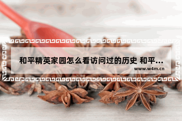 和平精英家园怎么看访问过的历史 和平精英如何查看访客记录