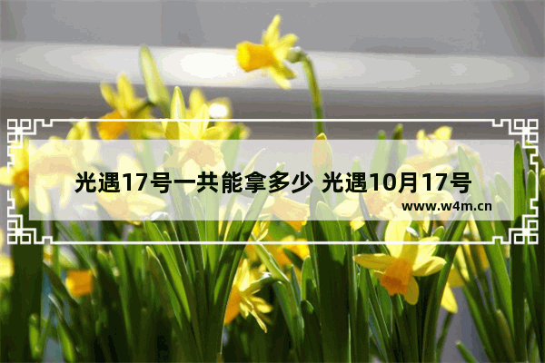 光遇17号一共能拿多少 光遇10月17号大蜡烛