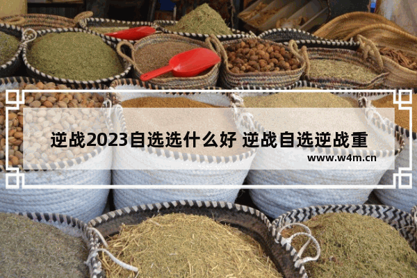 逆战2023自选选什么好 逆战自选逆战重置卡怎么试用