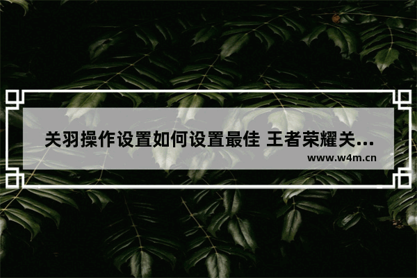 关羽操作设置如何设置最佳 王者荣耀关羽新手怎么玩