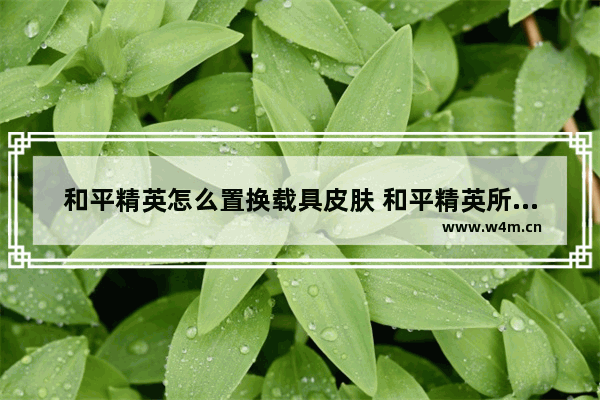 和平精英怎么置换载具皮肤 和平精英所有载具叫什么名字