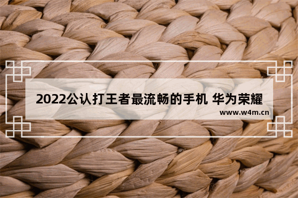 2022公认打王者最流畅的手机 华为荣耀畅玩20是为什么不能玩游戏